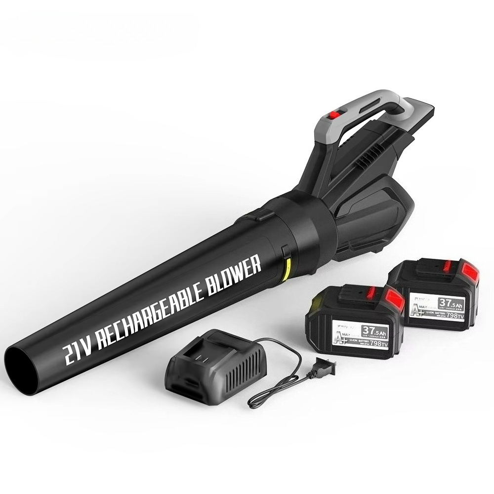 Cordless Leaf Blower with Batt - Car Vacuum recension och pris